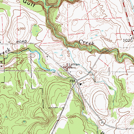 Topographic Map of Lyman Cemetery, NY