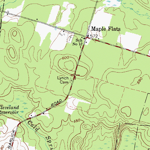 Topographic Map of Lynch Cemetery, NY