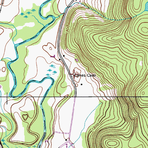 Topographic Map of Lynes Cemetery, NY