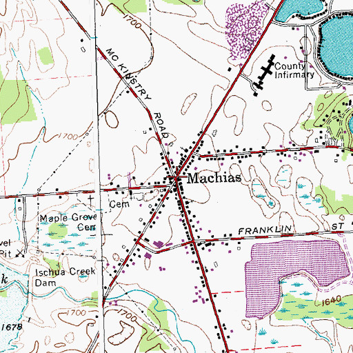 Topographic Map of Machias, NY