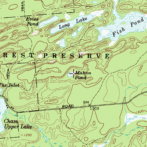 Topographic Map of Mahan Pond, NY