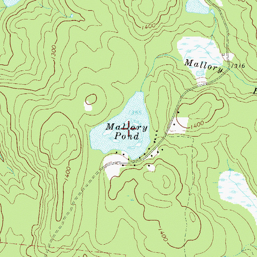 Topographic Map of Mallory Pond, NY