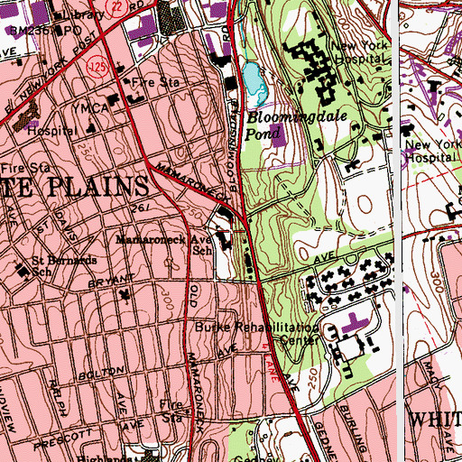 Topographic Map of Mamaroneck Avenue School, NY