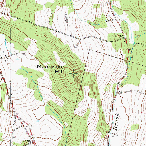 Topographic Map of Mandrake Hill, NY