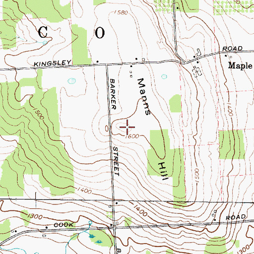 Topographic Map of Manns Hill, NY