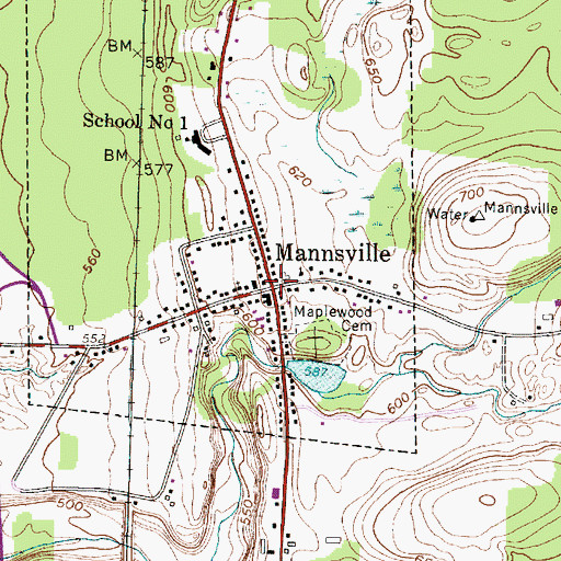 Topographic Map of Mannsville, NY