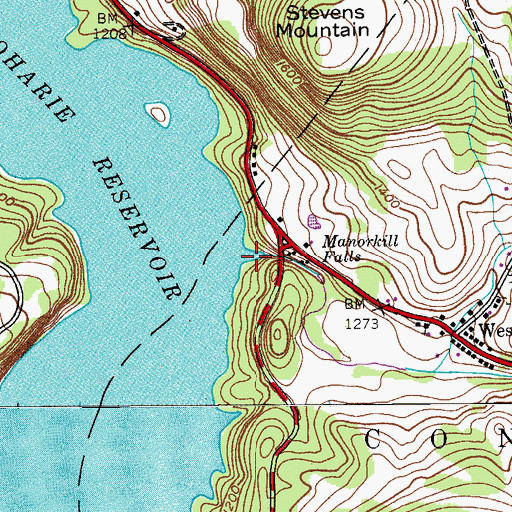 Topographic Map of Manor Kill, NY