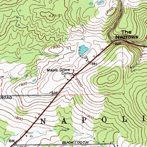 Topographic Map of Maple Grove Cemetery, NY