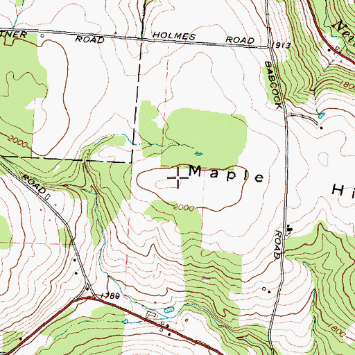 Topographic Map of Maple Hill, NY