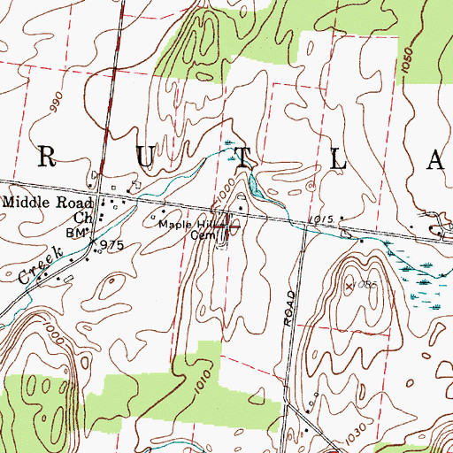 Topographic Map of Maple Hill Cemetery, NY