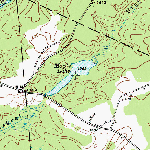 Topographic Map of Maple Lake, NY