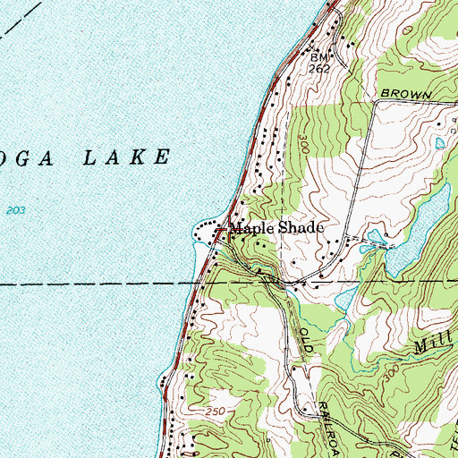 Topographic Map of Maple Shade, NY