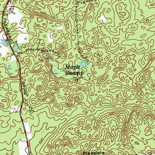 Topographic Map of Maple Swamp, NY