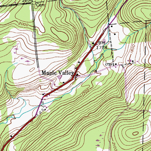 Topographic Map of Maple Valley, NY