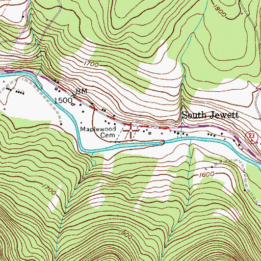 Topographic Map of Maplewood Cemetery, NY
