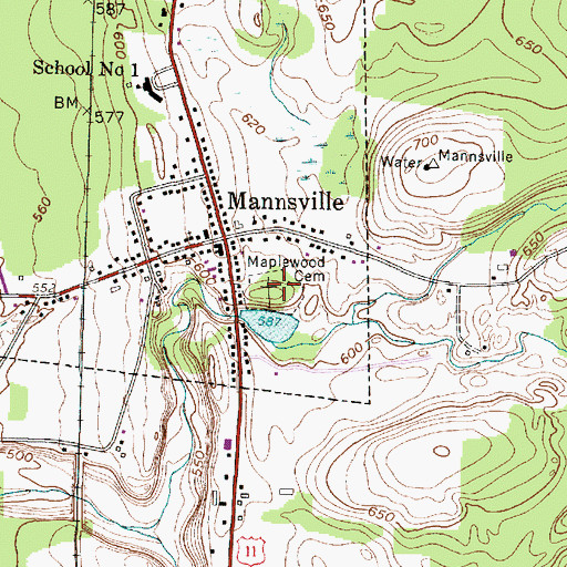 Topographic Map of Maplewood Cemetery, NY