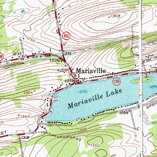 Topographic Map of Mariaville, NY