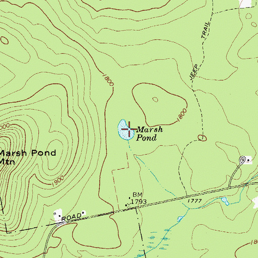 Topographic Map of Marsh Pond, NY