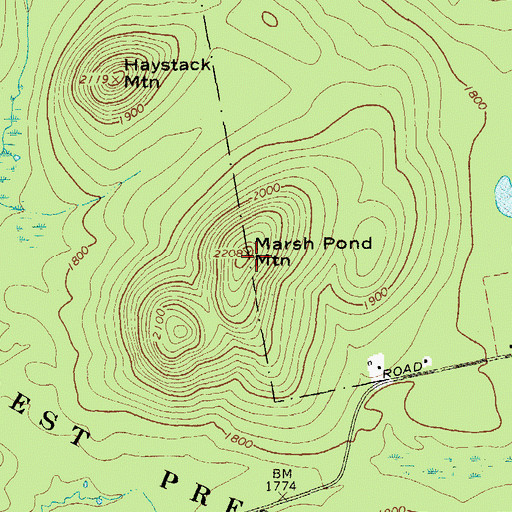 Topographic Map of Marsh Pond Mountain, NY