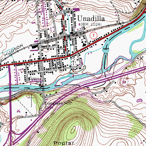 Topographic Map of Martin Brook, NY