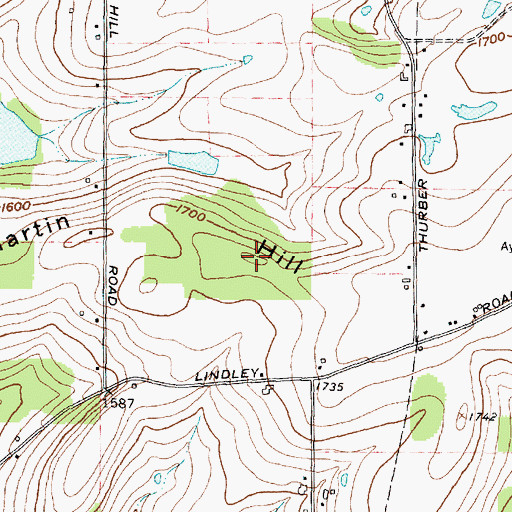 Topographic Map of Martin Hill, NY