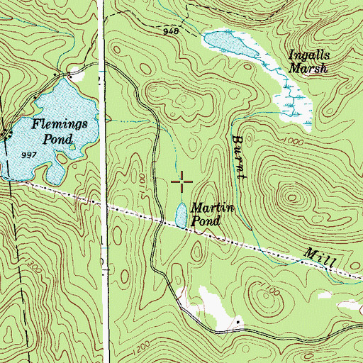Topographic Map of Martin Pond, NY