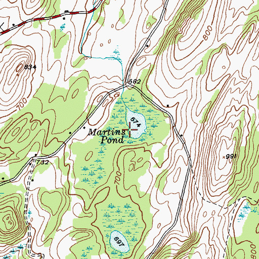 Topographic Map of Martins Pond, NY