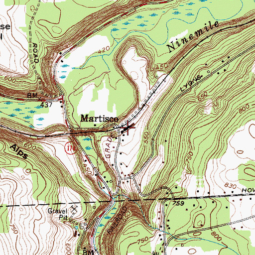 Topographic Map of Martisco, NY