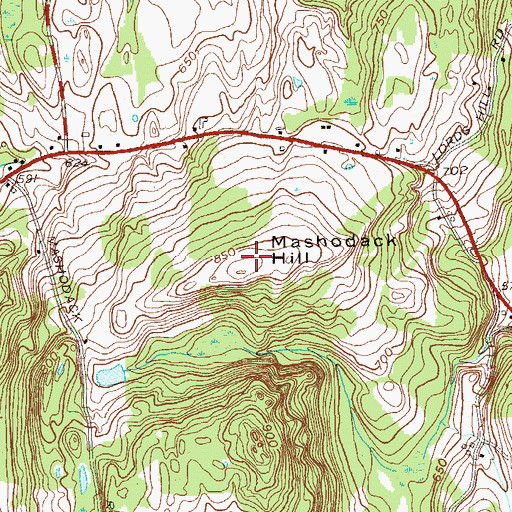 Topographic Map of Mashodack Hill, NY