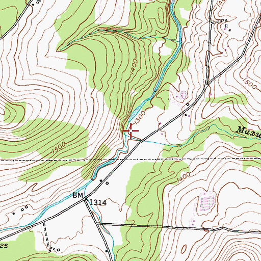 Topographic Map of Maxwell Creek, NY