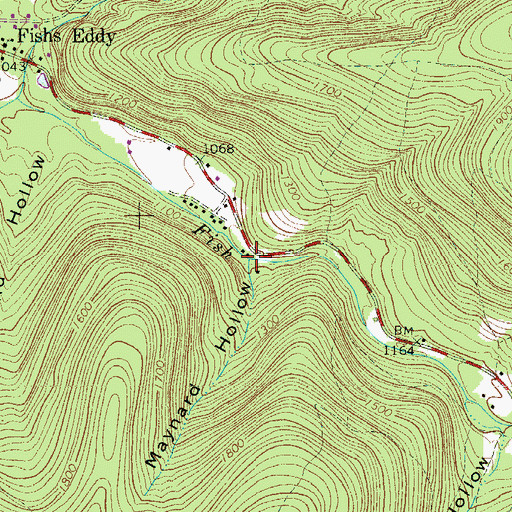 Topographic Map of Maynard Hollow, NY