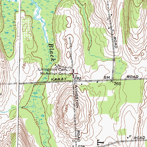 Topographic Map of McArthur Cemetery, NY