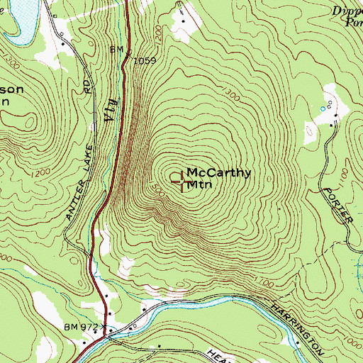 Topographic Map of McCarthy Mountain, NY