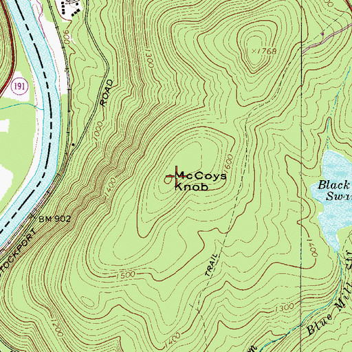 Topographic Map of McCoys Knob, NY