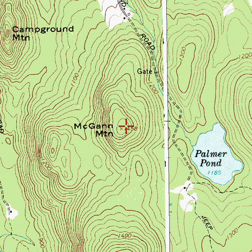 Topographic Map of McGann Mountain, NY