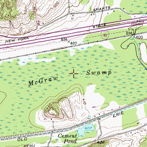Topographic Map of McGraw Swamp, NY