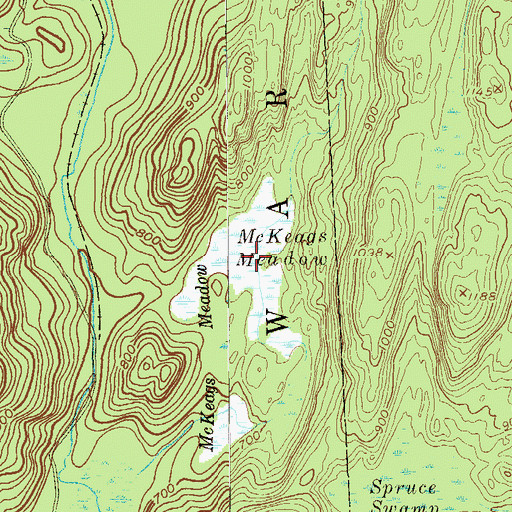 Topographic Map of McKeags Meadow, NY