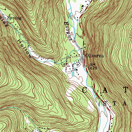 Topographic Map of McKenley Hollow, NY