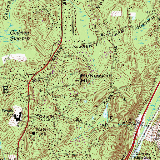 Topographic Map of McKesson Hill, NY