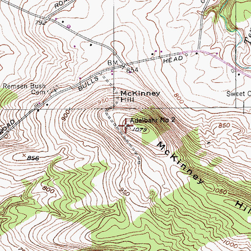 Topographic Map of McKinney Hill, NY
