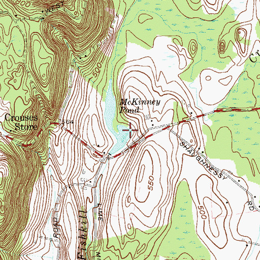 Topographic Map of McKinney Pond, NY