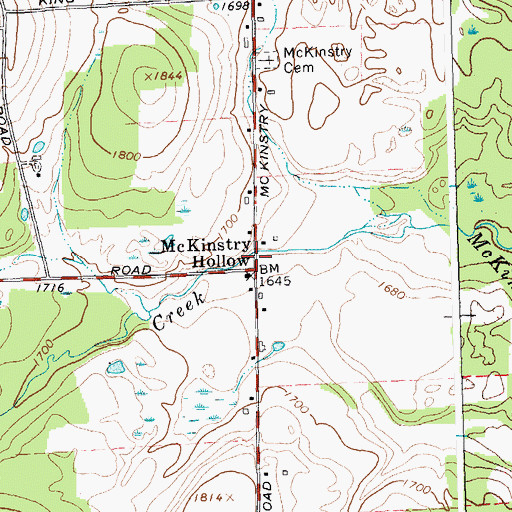 Topographic Map of McKinstry Hollow, NY