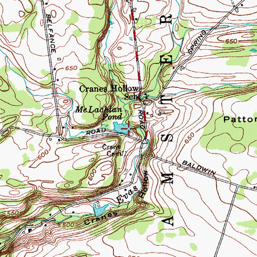 Topographic Map of McLachlan Pond, NY