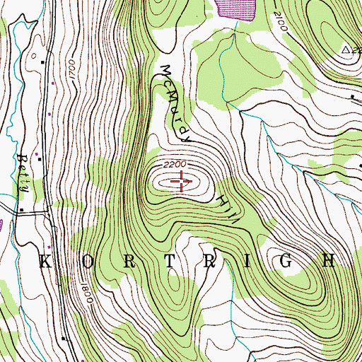 Topographic Map of McMurdy Hill, NY
