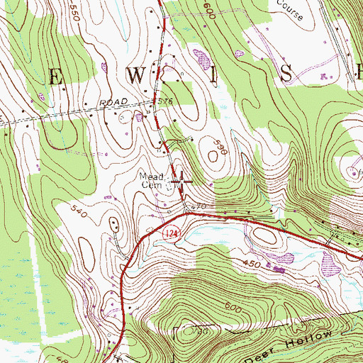 Topographic Map of Mead Cemetery, NY