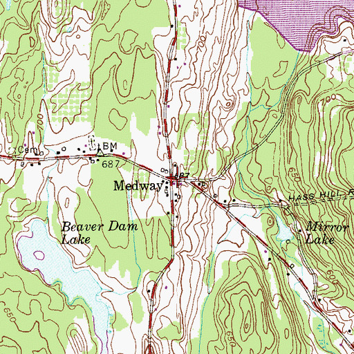 Topographic Map of Medway, NY