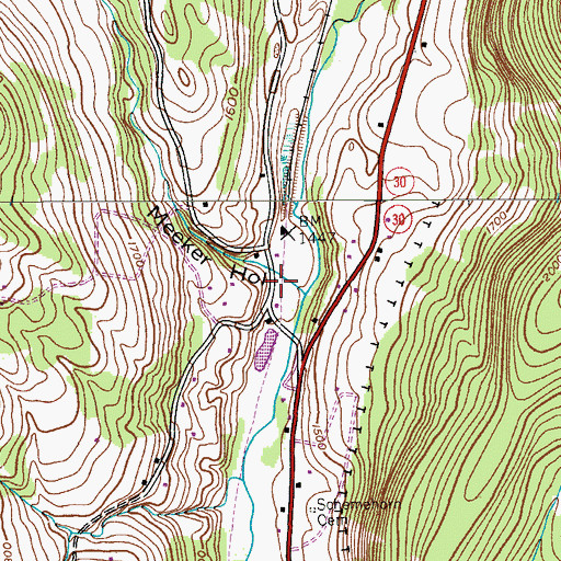 Topographic Map of Meeker Hollow, NY