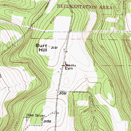 Topographic Map of Meeks Cemetery, NY