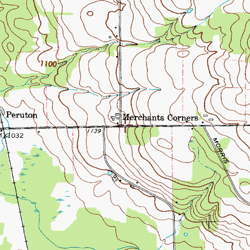 Topographic Map of Merchants Corners, NY
