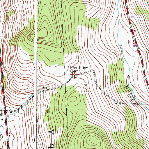 Topographic Map of Merithew Cemetery, NY